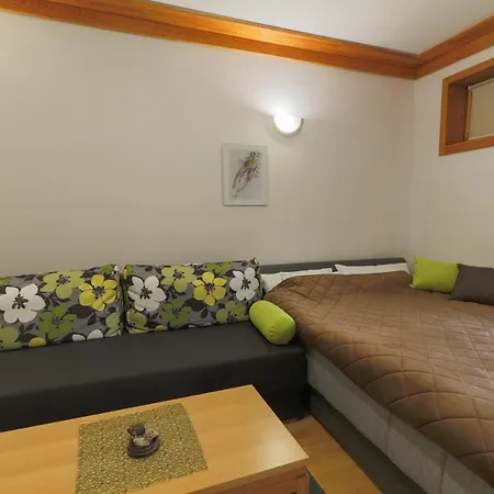Studio Apartman Vucko *