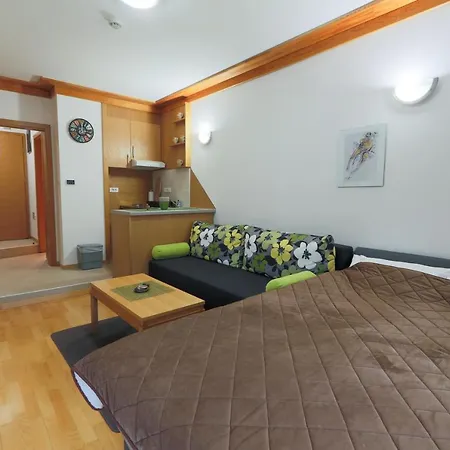 Studio Apartman Vucko *